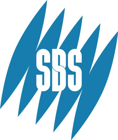 8. Sınıf SBS 2009